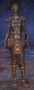 Exploring the Elder Scrolls Online - Female Argonian