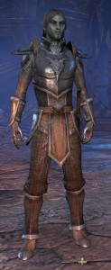 Exploring the Elder Scrolls Online - Male Dark Elf