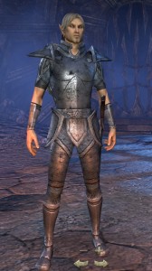 Exploring the Elder Scrolls Online - Male High Elf