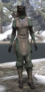 My character - She Who Wanders