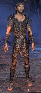 Exploring the Elder Scrolls Online - Male Wood Elf